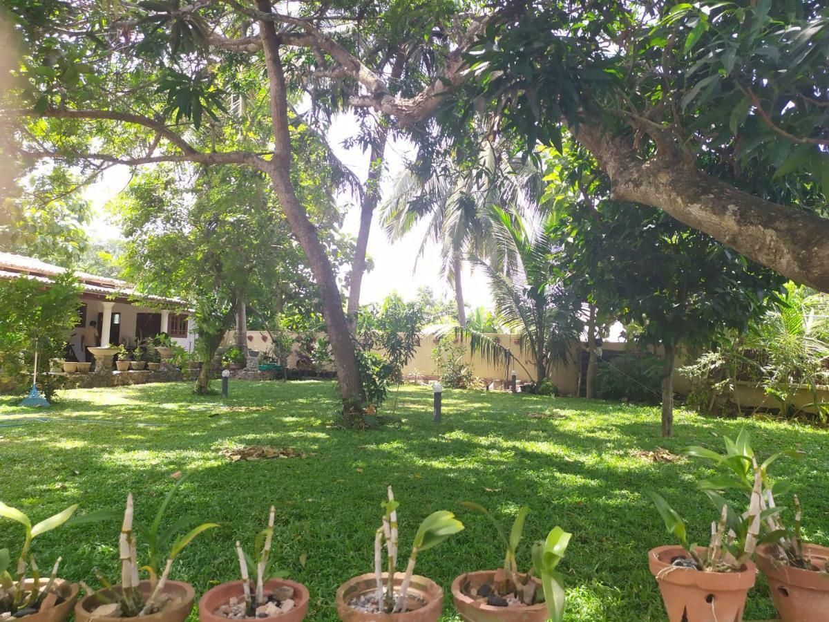 Cinnamon House Hiriketiya Dikwella Εξωτερικό φωτογραφία